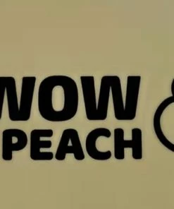 Wow Peach - Bustier - Brallete Lace BH - Voorgevormde BH Zonder Beugel - Lingerie BeHa - Comfy - Fitness - Yoga -PushUp - Filled - Yoga BeHa - Slaap BeHa - Ademend - Naadloos - Kanten BeHa - Lace Bra - Maat S - Grijs -lingerie-dames-badmode Winkel 550x367 15