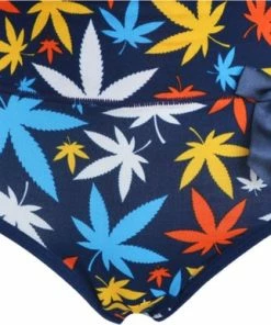 Fine Woman Dames Slips Blad Katoen 9069 5-pak -Fine Woman-XXL-Slips -lingerie-dames-badmode Winkel 550x386 1