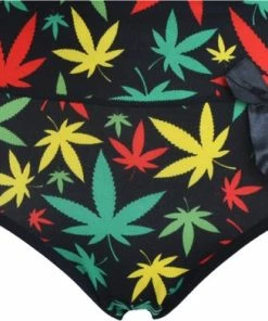 Fine Woman Dames Slips Blad Katoen 9069 5-pak -Fine Woman-XXL-Slips -lingerie-dames-badmode Winkel 550x392